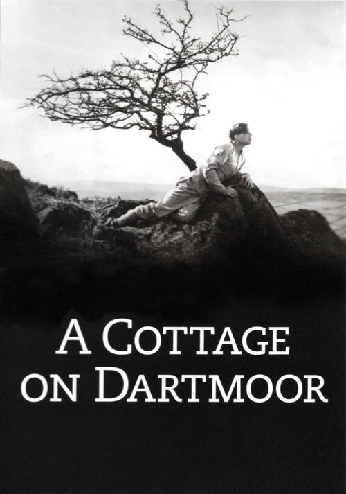 A Cottage on Dartmoor Poster