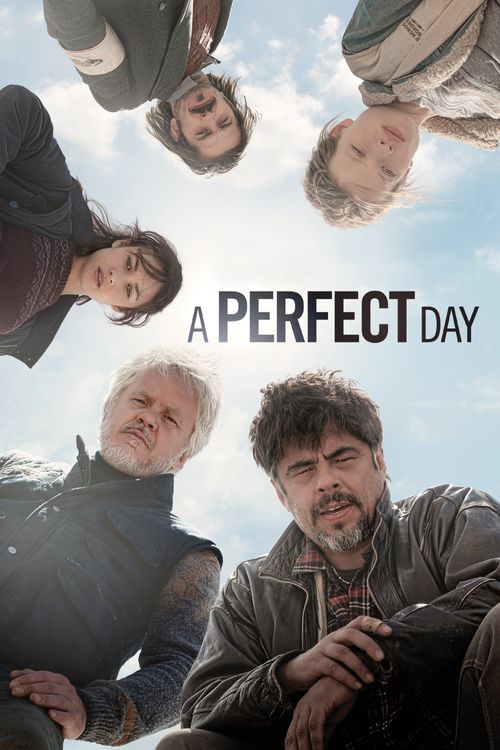 A Perfect Day Poster