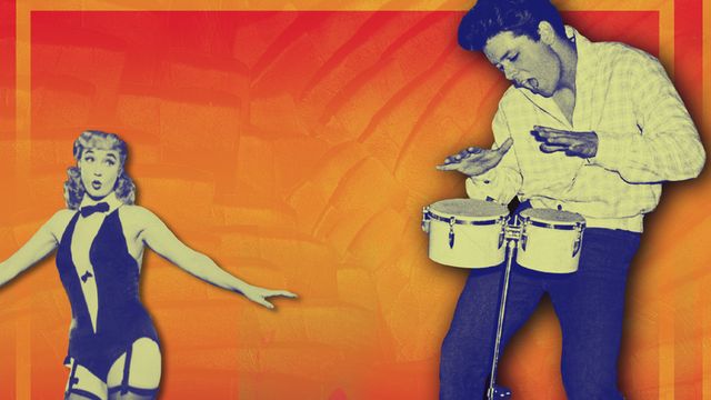 Expresso Bongo Backdrop