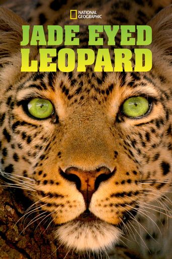  Jade Eyed Leopard Poster