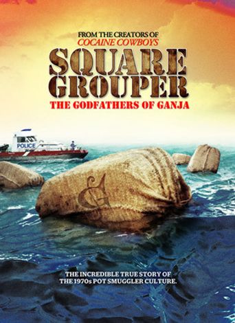  Square Grouper Poster