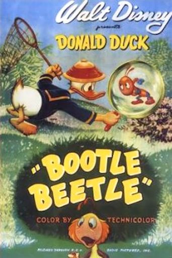  Bootle Beetle Poster