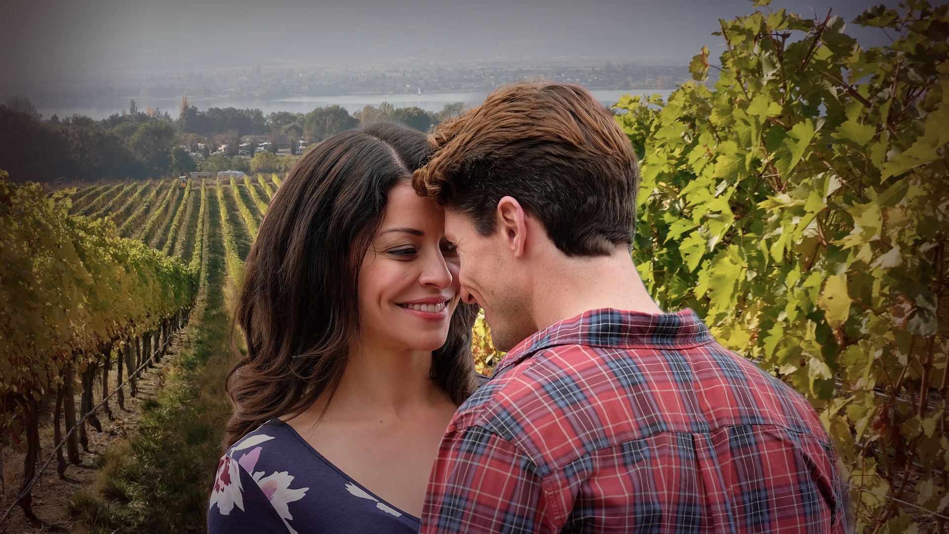 Love in the Vineyard Backdrop