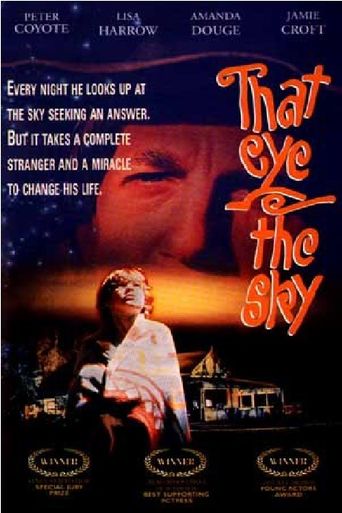  That Eye, the Sky Poster