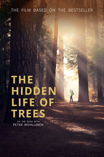  The Hidden Life of Trees Poster