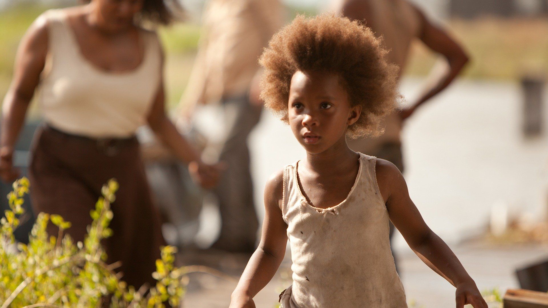 Beasts of the Southern Wild Backdrop