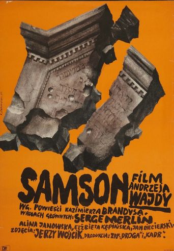  Samson Poster