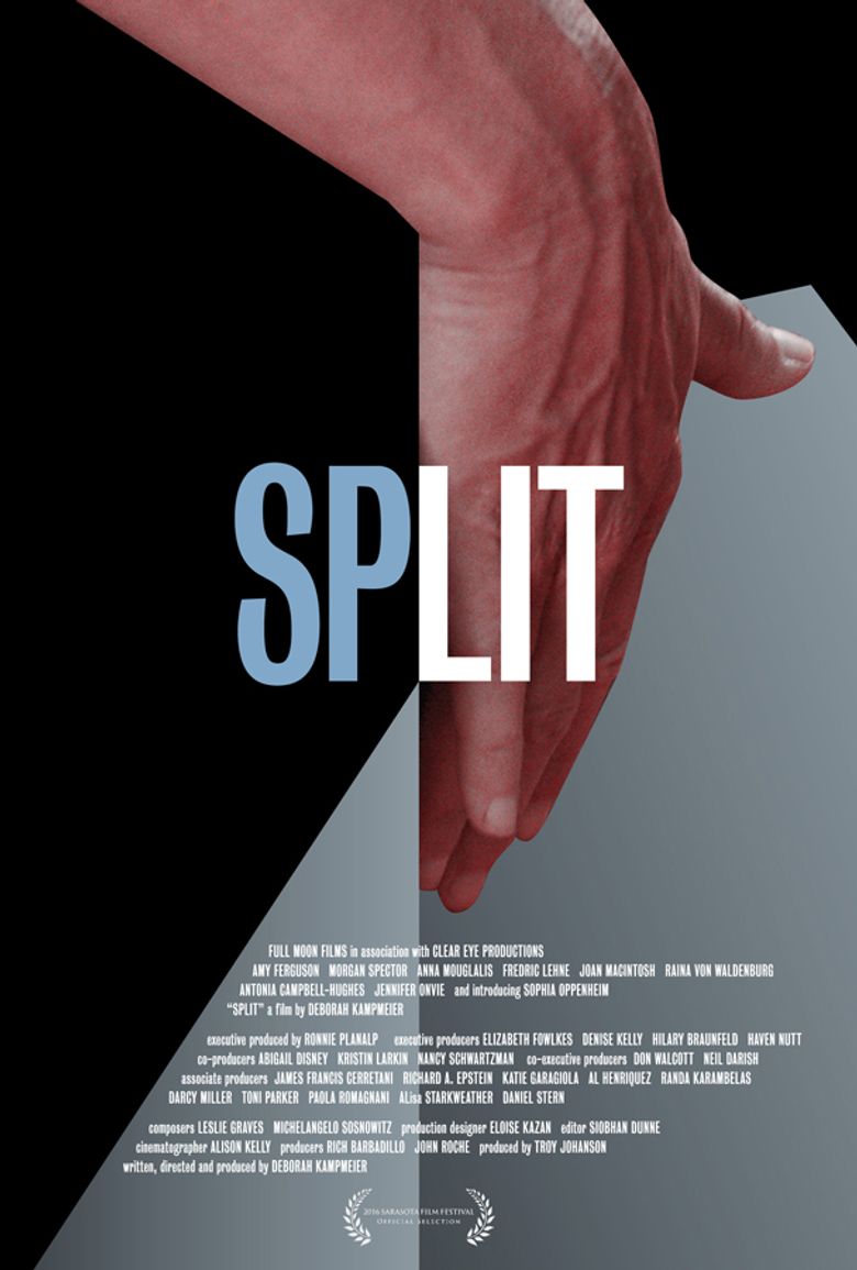 Split Poster