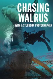  Chasing Walrus (With A Stubborn Photographer) Poster