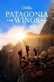  Patagonia Wings Poster