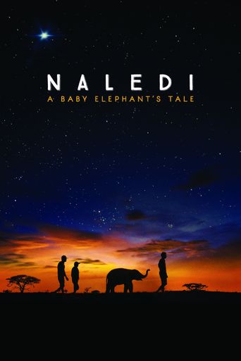  Naledi: A Baby Elephant's Tale Poster
