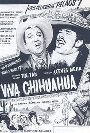  Viva Chihuahua Poster