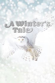  A Winter's Tale: The Journey Of The Snowy Owls Poster