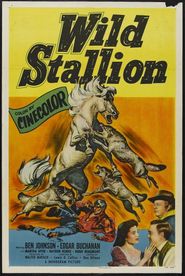  Wild Stallion Poster