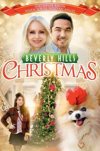  Beverly Hills Christmas Poster