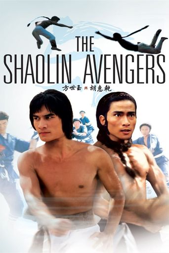  The Shaolin Avengers Poster