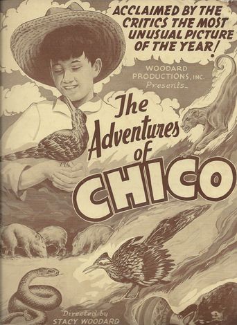  The Adventures of Chico Poster