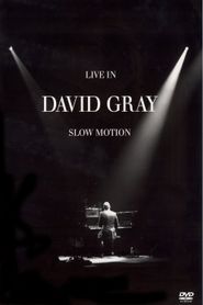  David Gray: LIVE in Slow Motion Poster