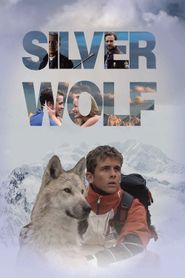  Silver Wolf Poster