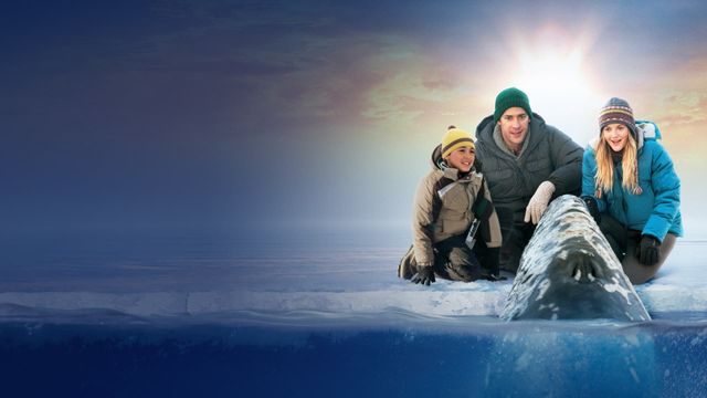 Big Miracle Backdrop