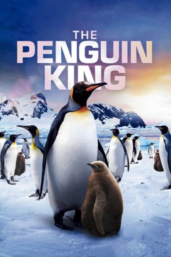  The Penguin King Poster