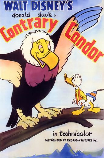 Contrary Condor Poster