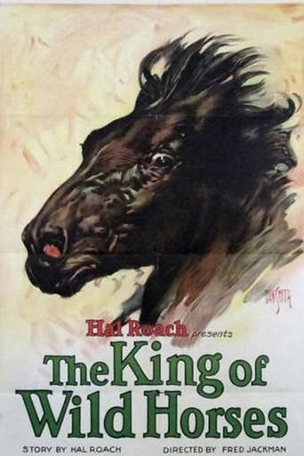 The King of the Wild Horses Poster