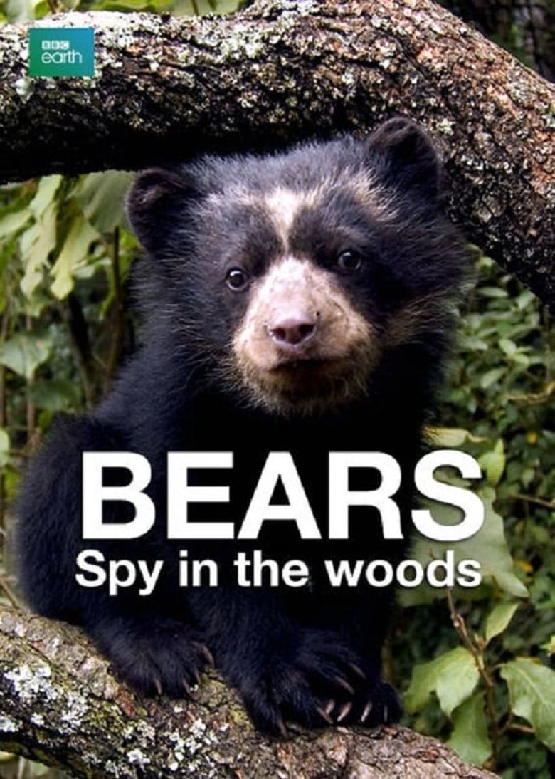 Bears: Spy in the Woods Poster