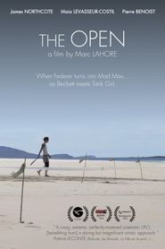  The Open Poster