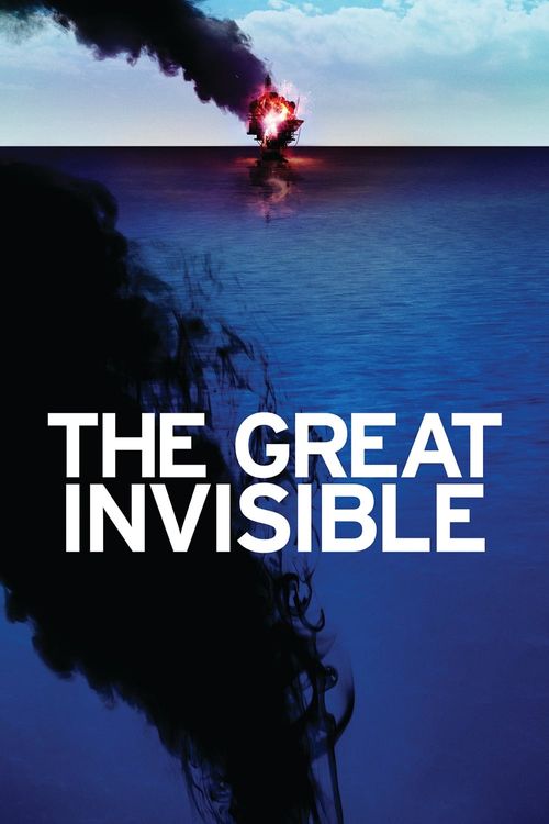 The Great Invisible Poster