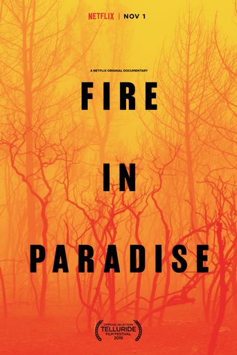  Fire in Paradise Poster