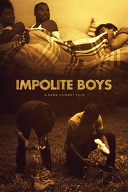 Impolite Boys Poster
