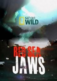  Red Sea Jaws Poster