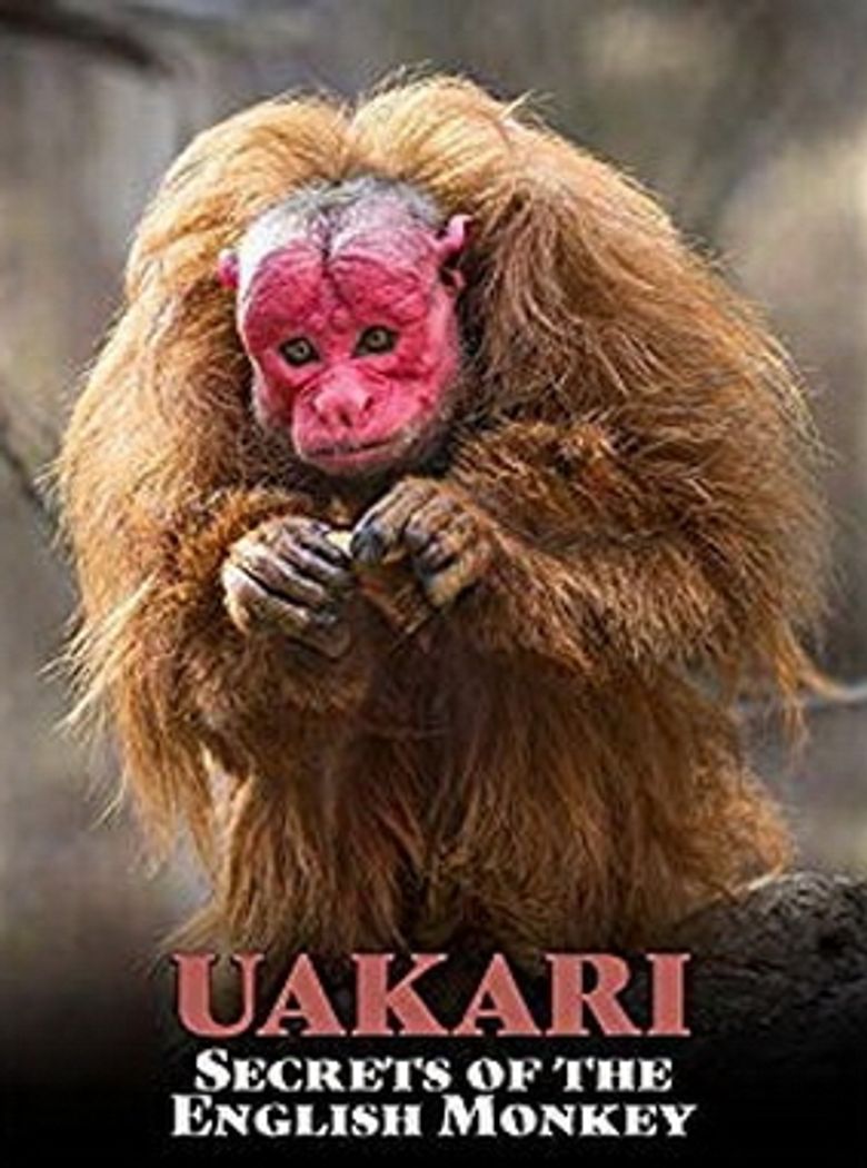Uakari: Secrets of the English Monkey