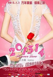  201314 Poster