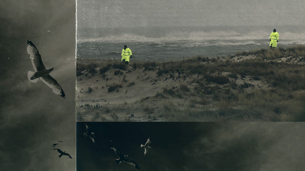 Unraveled The Long Island Serial Killer (2021) Where to Watch and