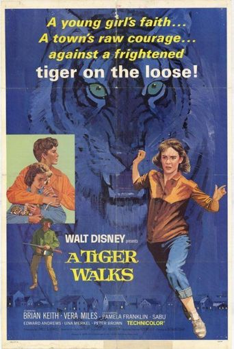  A Tiger Walks Poster