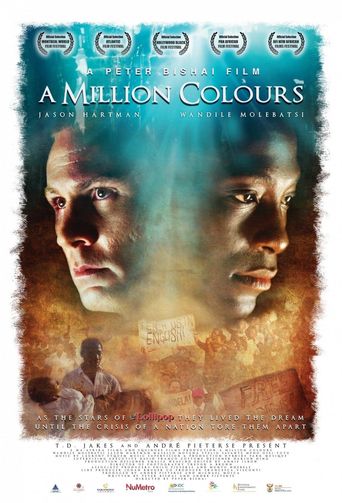  A Million Colours Poster