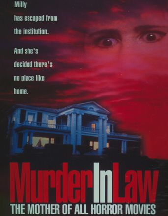  Murder in Law Poster