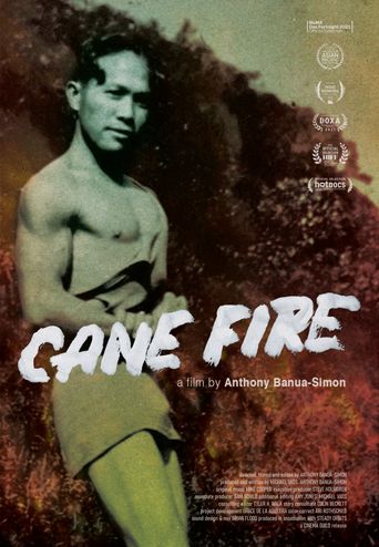  Cane Fire Poster