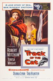  Track of the Cat Poster