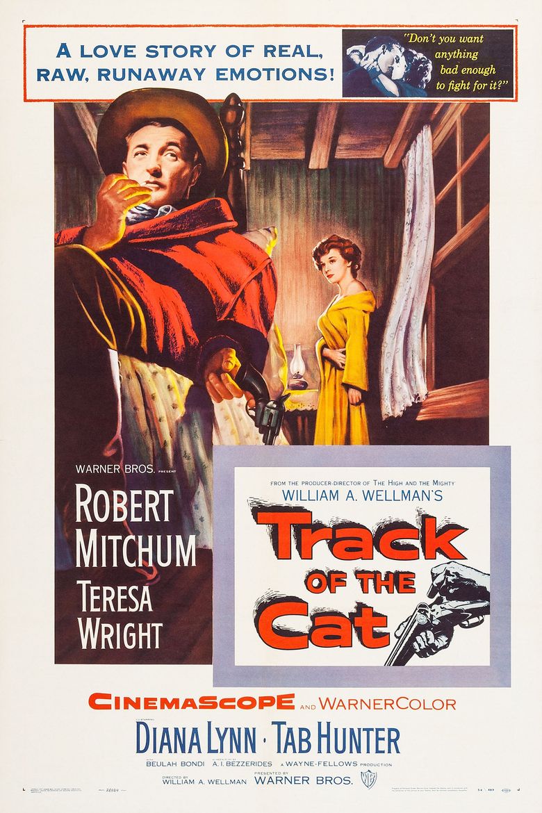 Track of the Cat Poster