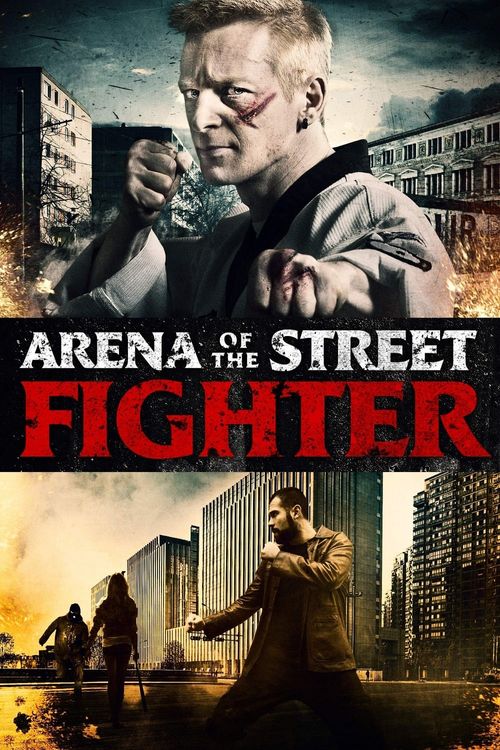 Urban Fighter Poster