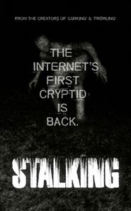  Stalking Poster