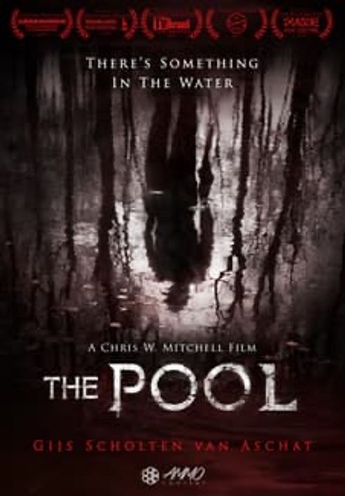 The Pool Poster