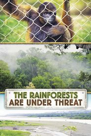  The Rainforests Are Under Threat Poster