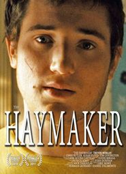  The Haymaker Poster