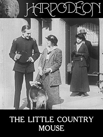  The Little Country Mouse Poster