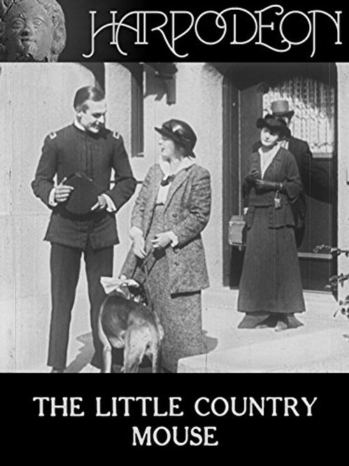 The Little Country Mouse Poster