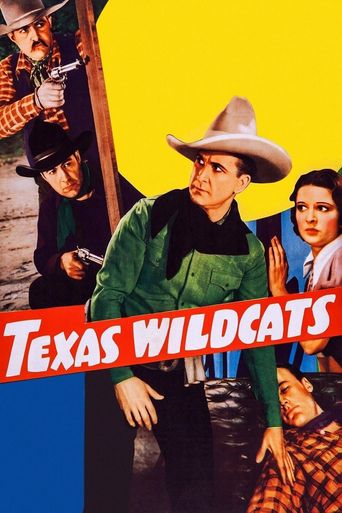  Texas Wildcats Poster
